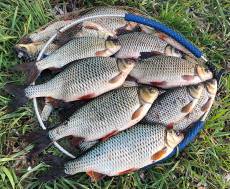 Sensas 3000 Gros Gardons Noir 1Kg