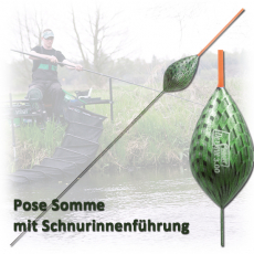 Sensas Pose DANUBE 1-10 Gramm mit Schnurinnenführung