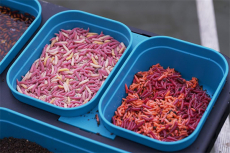 Drennan 1 Pint Modular Bait-Seal Box (0.57L) mit Löcher im Deckel