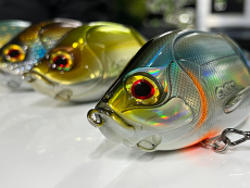 GUNKI SCUNNER 175 S TWIN Red Perch, bleifrei, Neuheit 2023