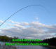 Maver EVANON FEEDER 3.30m 60 Gramm, 4 Carbonspitzen mit 2.2mm, 2-teilig, Messepreis!